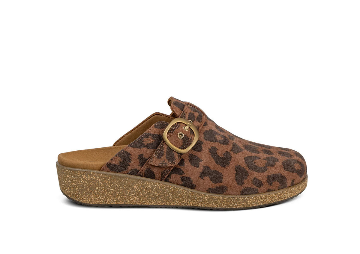 Casey - Leopard