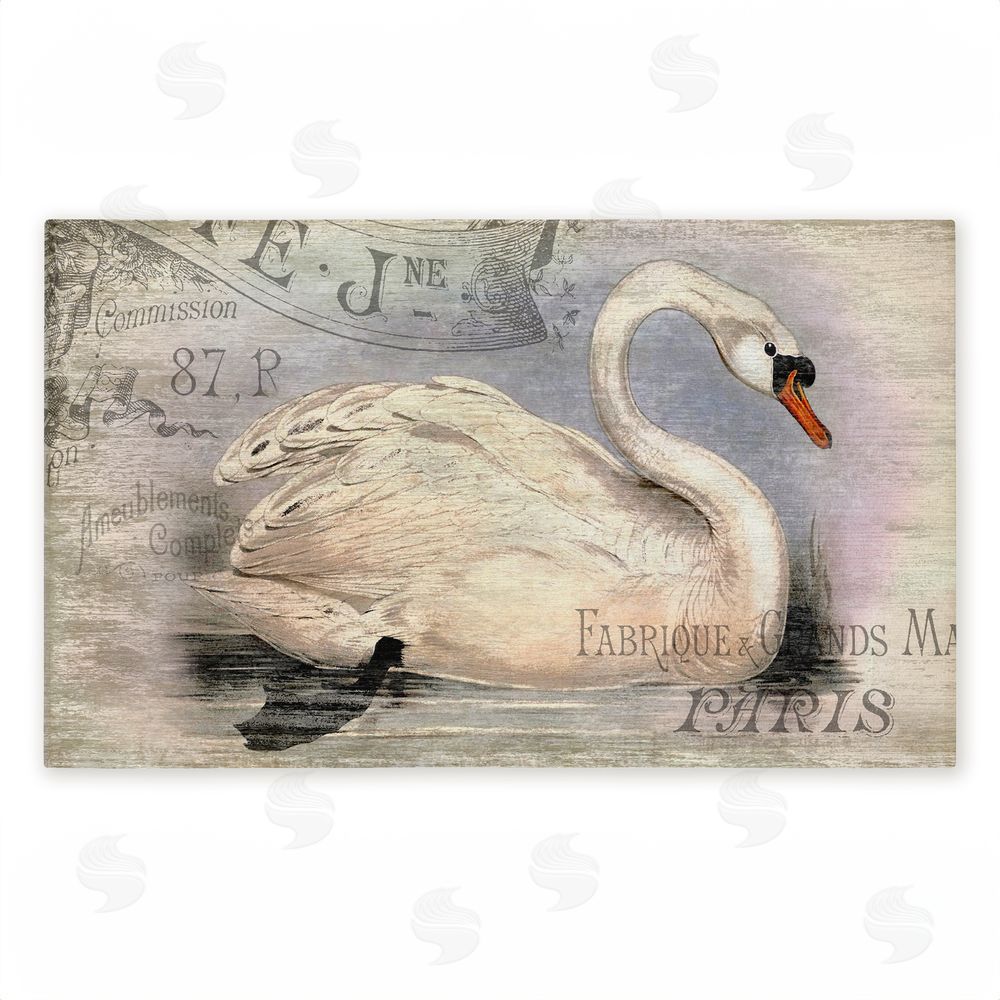 Suzanne Nicoll | French Swan Vintage Motif Non-Woven Door Mat