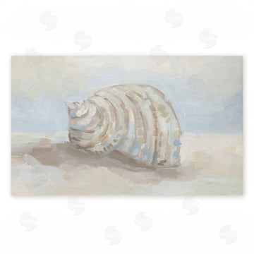 Jetty Home, LLC | Rounded Seashell on Shore Non-Woven Door Mat